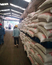 ammonium sulphate granular warehouse.jpg